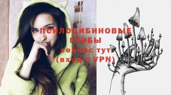ALPHA PVP Верхнеуральск