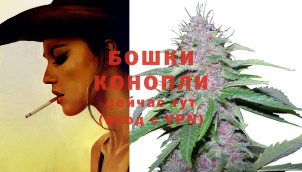 СК Верея